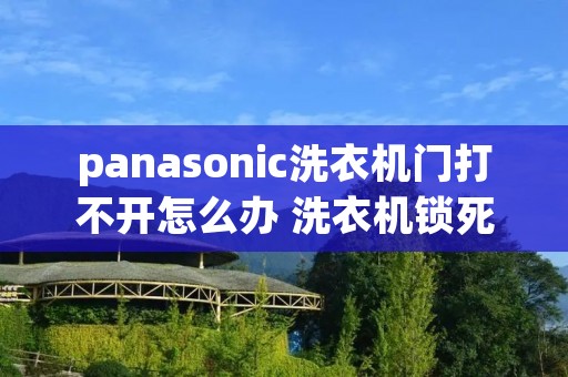 panasonic洗衣机门打不开怎么办 洗衣机锁死了打不开门 panasonic洗衣机门打不开怎么办 洗衣机锁死了打不开门