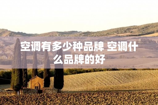 空调有多少种品牌 空调什么品牌的好