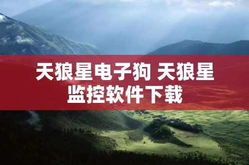 天狼星电子狗 天狼星监控软件下载 天狼星电子狗 天狼星监控软件下载