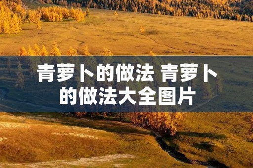 青萝卜的做法 青萝卜的做法大全图片