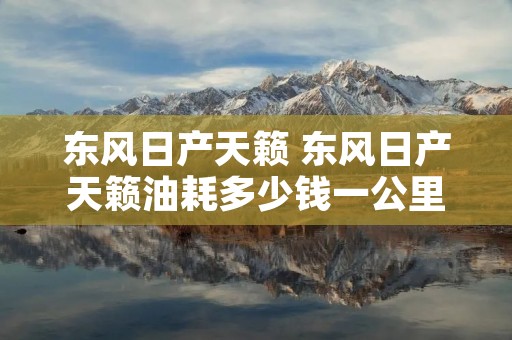 东风日产天籁 东风日产天籁油耗多少钱一公里