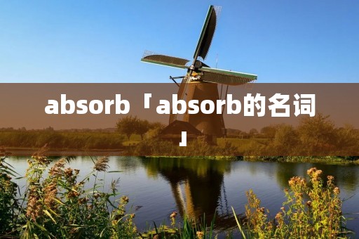 absorb「absorb的名词」