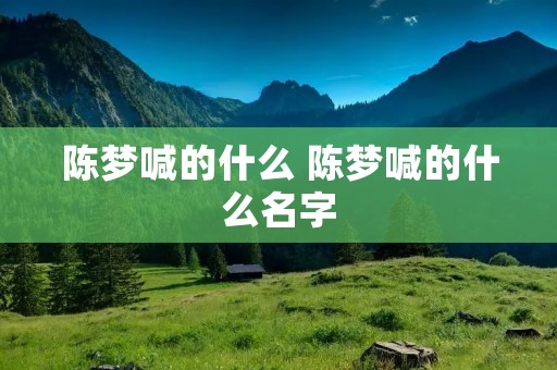 陈梦喊的什么 陈梦喊的什么名字 陈梦喊的什么 陈梦喊的什么名字