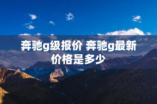 奔驰g级报价 奔驰g最新价格是多少