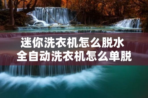 迷你洗衣机怎么脱水 全自动洗衣机怎么单脱水