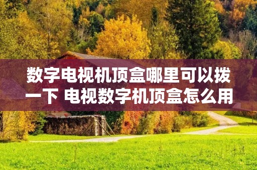 数字电视机顶盒哪里可以拨一下 电视数字机顶盒怎么用 数字电视机顶盒哪里可以拨一下 电视数字机顶盒怎么用