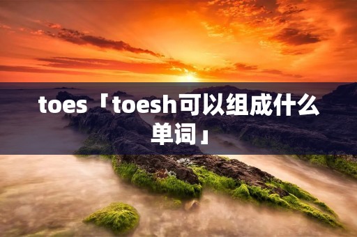 toes「toesh可以组成什么单词」 toes「toesh可以组成什么单词」