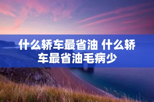 什么轿车最省油 什么轿车最省油毛病少 什么轿车最省油 什么轿车最省油毛病少