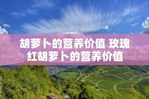胡萝卜的营养价值 玫瑰红胡萝卜的营养价值