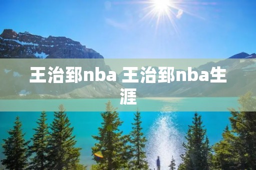 王治郅nba 王治郅nba生涯 王治郅nba 王治郅nba生涯