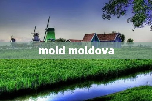 mold moldova
