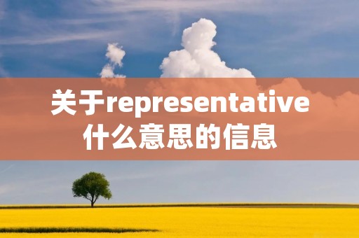 关于representative什么意思的信息