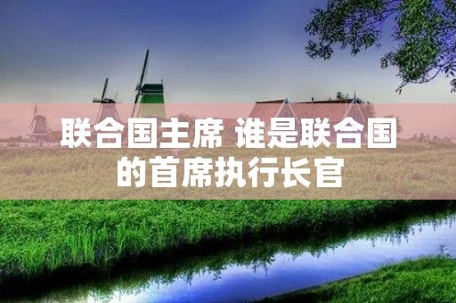 联合国主席 谁是联合国的首席执行长官