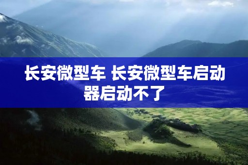 长安微型车 长安微型车启动器启动不了