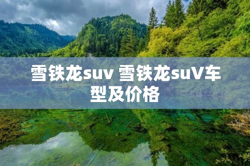 雪铁龙suv 雪铁龙suV车型及价格 雪铁龙suv 雪铁龙suV车型及价格