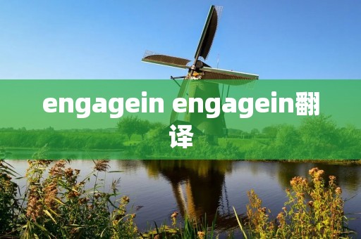 engagein engagein翻译