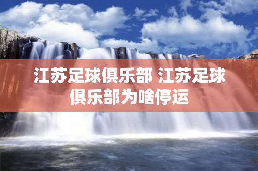 江苏足球俱乐部 江苏足球俱乐部为啥停运