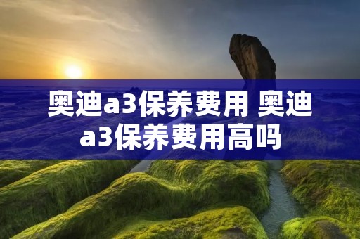 奥迪a3保养费用 奥迪a3保养费用高吗 奥迪a3保养费用 奥迪a3保养费用高吗