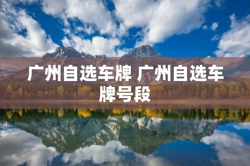 广州自选车牌 广州自选车牌号段