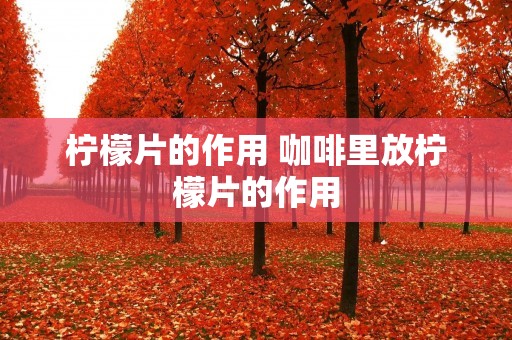 柠檬片的作用 咖啡里放柠檬片的作用