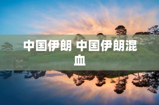 中国伊朗 中国伊朗混血