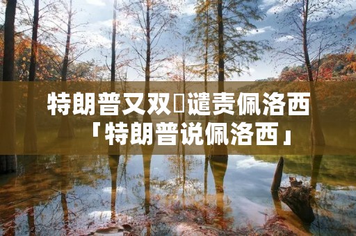 特朗普又双叒谴责佩洛西「特朗普说佩洛西」 特朗普又双叒谴责佩洛西「特朗普说佩洛西」