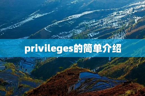 privileges的简单介绍