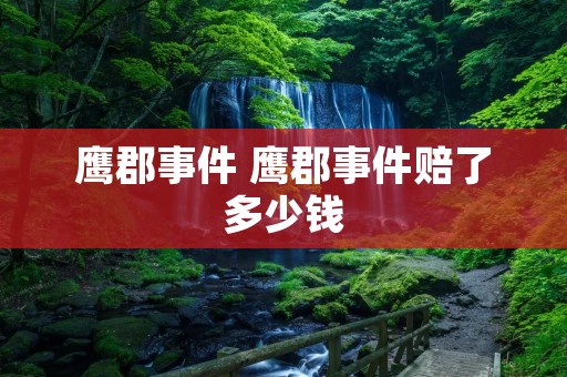 鹰郡事件 鹰郡事件赔了多少钱