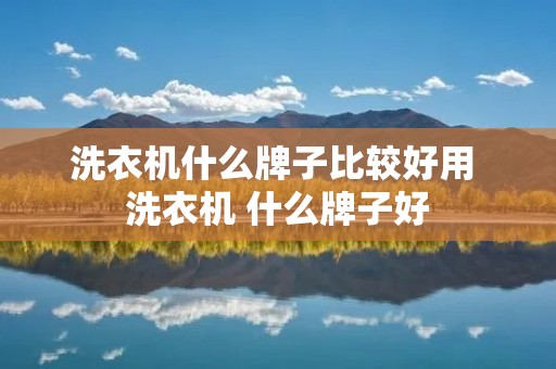 洗衣机什么牌子比较好用 洗衣机 什么牌子好 洗衣机什么牌子比较好用 洗衣机 什么牌子好