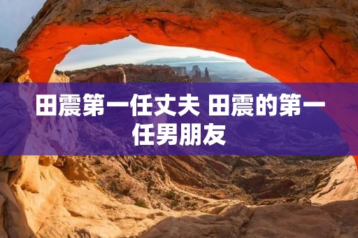 田震第一任丈夫 田震的第一任男朋友 田震第一任丈夫 田震的第一任男朋友
