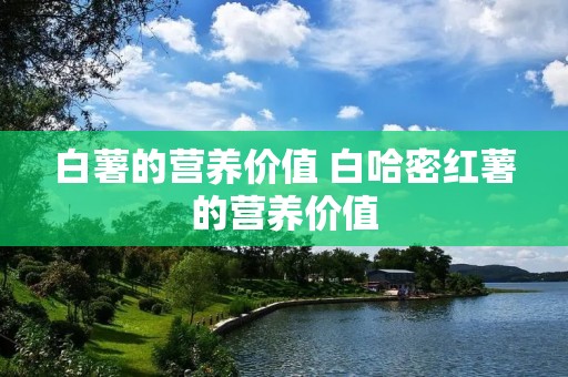白薯的营养价值 白哈密红薯的营养价值