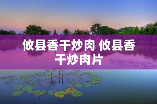 攸县香干炒肉 攸县香干炒肉片