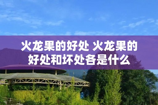 火龙果的好处 火龙果的好处和坏处各是什么
