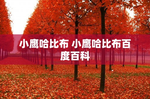 小鹰哈比布 小鹰哈比布百度百科
