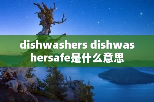 dishwashers dishwashersafe是什么意思