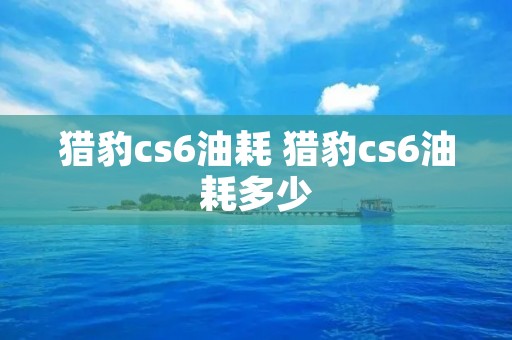 猎豹cs6油耗 猎豹cs6油耗多少