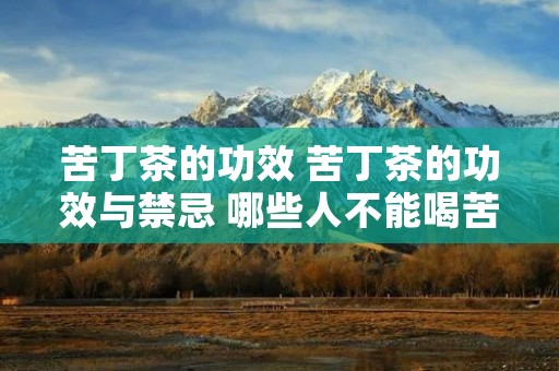 苦丁茶的功效 苦丁茶的功效与禁忌 哪些人不能喝苦丁茶