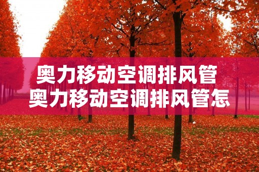 奥力移动空调排风管 奥力移动空调排风管怎么安装