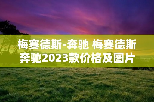 梅赛德斯-奔驰 梅赛德斯奔驰2023款价格及图片 梅赛德斯-奔驰 梅赛德斯奔驰2023款价格及图片