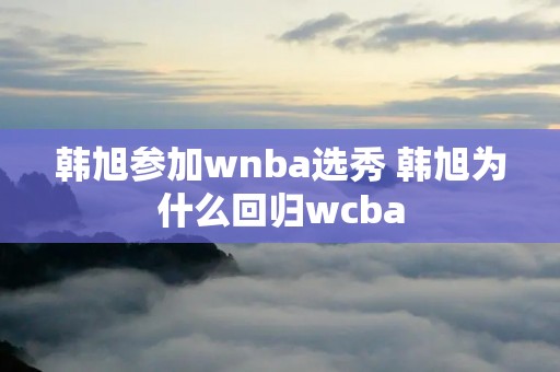 韩旭参加wnba选秀 韩旭为什么回归wcba