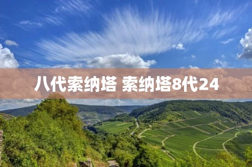 八代索纳塔 索纳塔8代24 八代索纳塔 索纳塔8代24