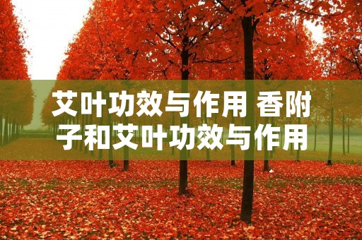 艾叶功效与作用 香附子和艾叶功效与作用