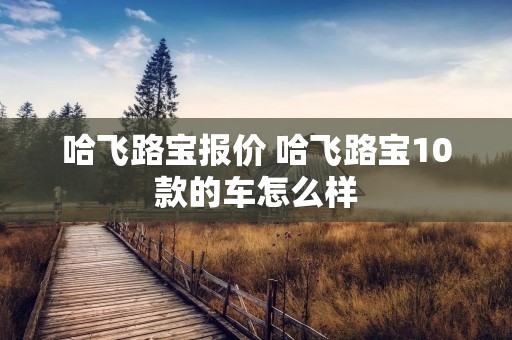 哈飞路宝报价 哈飞路宝10款的车怎么样