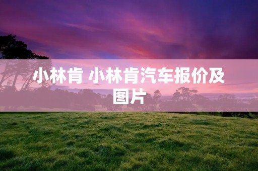 小林肯 小林肯汽车报价及图片 小林肯 小林肯汽车报价及图片