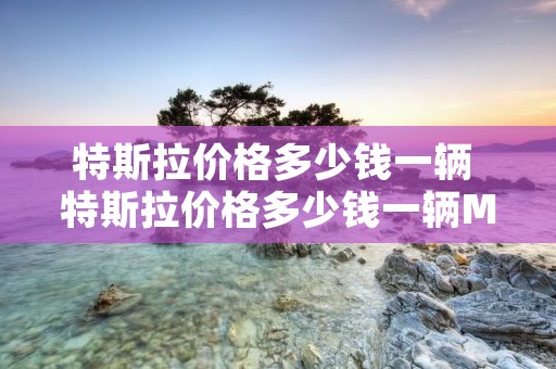 特斯拉价格多少钱一辆 特斯拉价格多少钱一辆Model3