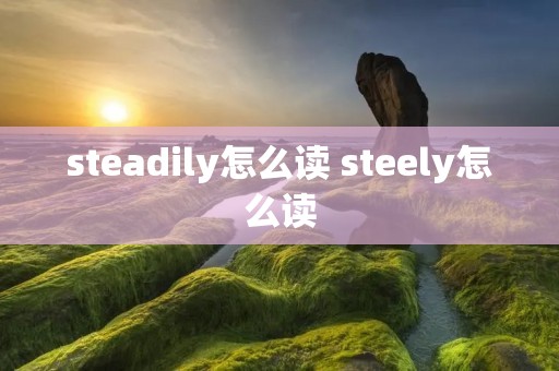 steadily怎么读 steely怎么读