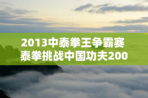 2013中泰拳王争霸赛 泰拳挑战中国功夫2009