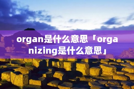 organ是什么意思「organizing是什么意思」