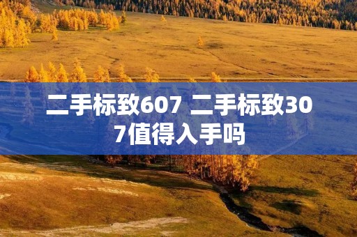 二手标致607 二手标致307值得入手吗