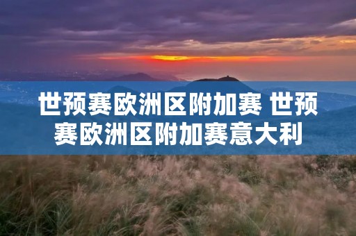 世预赛欧洲区附加赛 世预赛欧洲区附加赛意大利